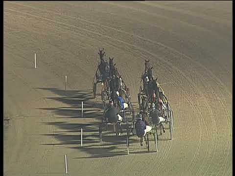 Trotto 29/01/2019 - 5ª corsa