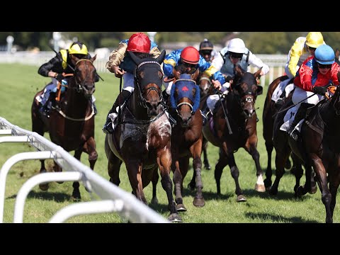 Baden-Baden: 155th Casino Baden-Baden Golden Whip 2025 Winner: The Strikin Viking