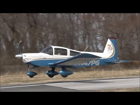 Cheetah Pattern Work and Flight Characteristics