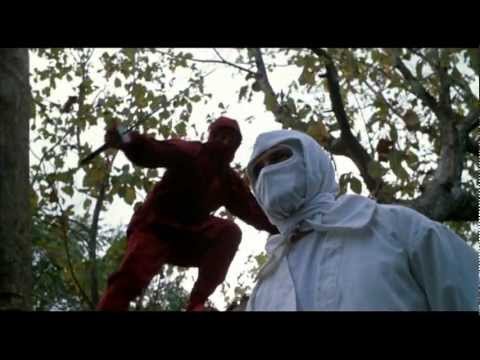 afbeelding ENTER THE NINJA (1981) Original Theatrical Trailer (Widescreen)