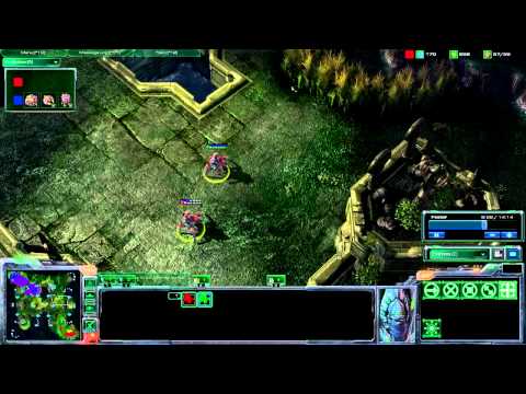 PRO - WhiteRA v Dimaga