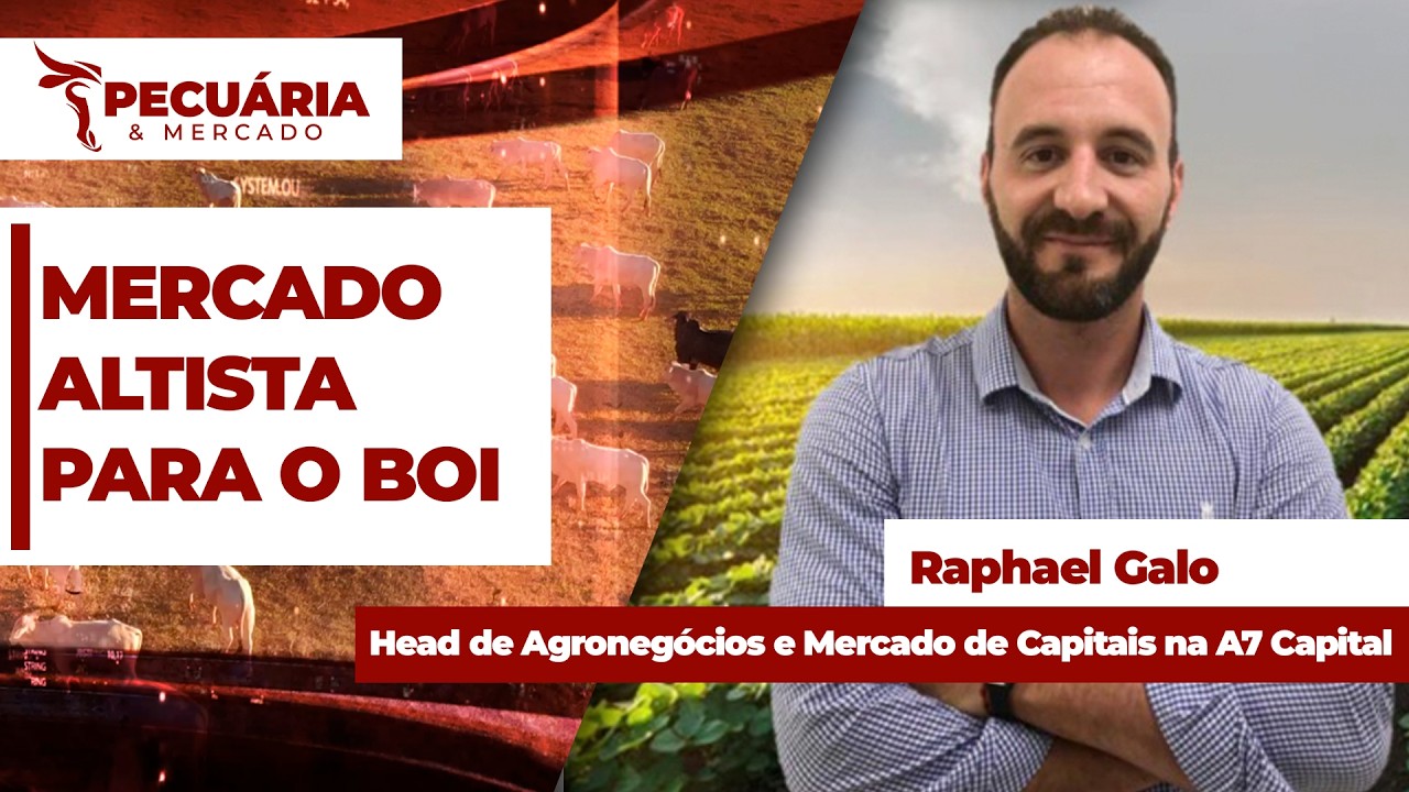 Em curto período, cotações para o mercado do boi melhoram e dão novo ânimo aos pecuaristas