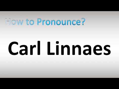 How to Pronounce Carl Linnaes