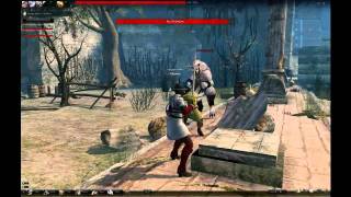 Vindictus Gameplay - Foul Snowpaw Boss