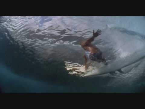 Surf Video RUSH by Dave Jacobs & The Prodigal Sons (footage from Dana Brown's 'Step into Liquid')