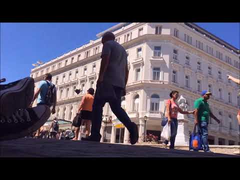 La Habana Surfin Bird