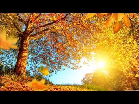 Richard Rohr - The Cosmic Christ  (The Liturgists Podcast)