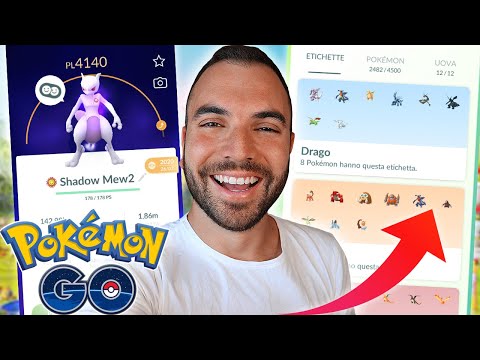 I POKÉMON PIÙ FORTI PER TIPO DA UTILIZZARE NEI RAID su POKÉMON GO!