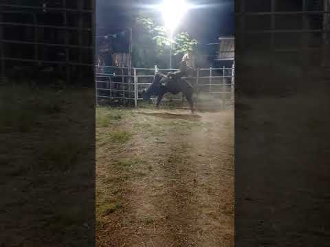 Los pozos Herrera JUAN MELÉNDEZ 🆚EL PATRÓN DEL DIABLO