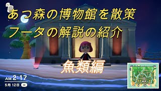 【あつ森】魚の解説をしながら博物館めぐり【フータ解説】