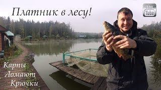 Рыбалка на рождественском пруду в митино