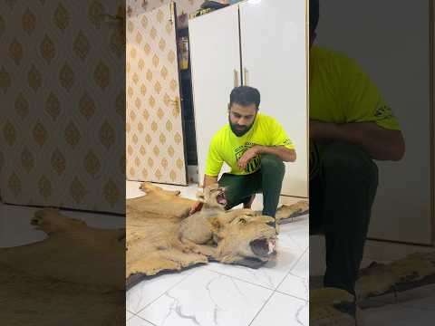 Lion cub is sad😭 #ytshorts #petlover #shorts #india #lionking #simba #death #india #youtubeshorts
