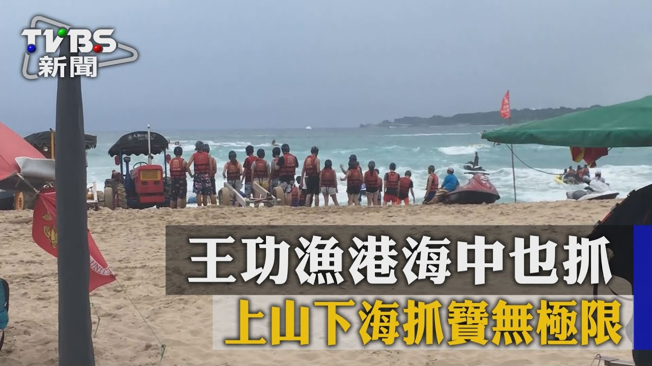 上山下海抓寶無極限　王功漁港海中也抓