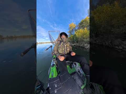 6°C, acqua ferma, io e il K1 sul Po. Silenzio, dedizione e rispetto per il grande fiume. 🌊