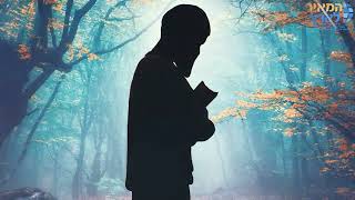 איך שמואל הנביא מושח את דוד למלוכה?| את סוד המלוכה שלך לא בטוח שיש מישהו בעולם שידע | הרב מאיר שלמה (הרב מאיר שלמה זצ"ל) - התמונה מוצגת ישירות מתוך אתר האינטרנט יוטיוב. זכויות היוצרים בתמונה שייכות ליוצרה. קישור קרדיט למקור התוכן נמצא בתוך דף הסרטון