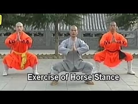 Funny sports & games videos - Kungfu Lessons