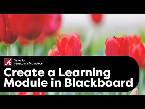 Creating A Learning Module In Blackboard