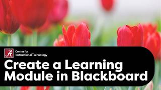 Create a Learning Module in Blackboard