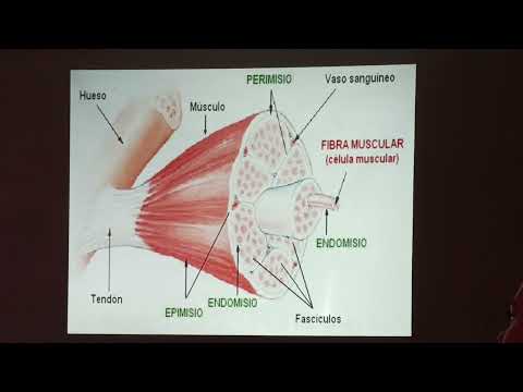 Biología 2 - clase 1 - evaluación 1
