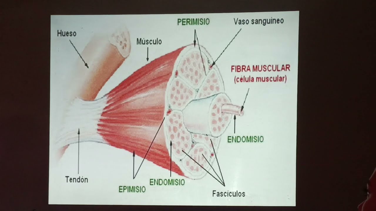 Biología 2 - clase 1 - evaluación 1