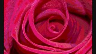 The Rose [Vocal Cover]