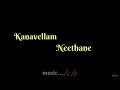 Kanavellam Neethane - Lyrical | Dilip Varma, RR Lyrics