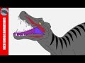 100 Dinosaurs (500 Subscribers) 