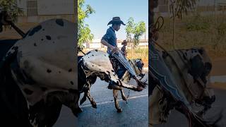 O Maidão Esparramou 🐂💥