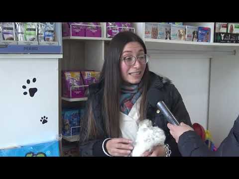 DRA YAMILA ACOSTA - VETERINARIA, TENENCIA RESPONSABLE DE MASCOTAS