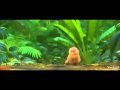 Rio 2 Clara