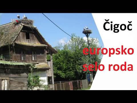 4. razred -  Nizinska Hrvatska - Priroda i društvo