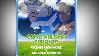 VICENTE FERNÁNDEZ Y VALENTÍN ELIZALDE &quot;COMO PALOMA ERRANTE&quot;