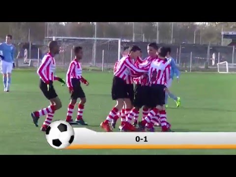 Samenvatting Hermes DVS D1  -  De Betrokken Spartaan D1
