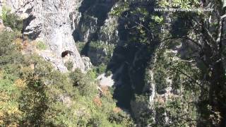 preview picture of video 'Monodendri, Vikos Schlucht- Griechenland, Greece HD Travel Channel'