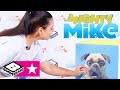 Formidabilul Mike Copii și Căței Cum Avem Grijă De Cățel Cartoonito