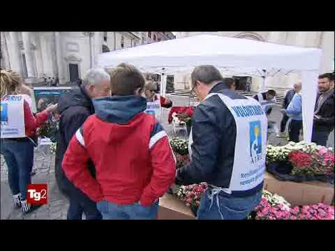 §.5/- TG2-giorno domenica 12 maggio 2019 oggi Festa della Mamma + azalee ricerca contro cancro