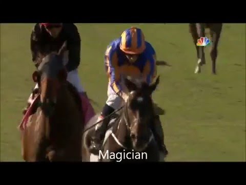 2013 Breeders' Cup Turf - Magician