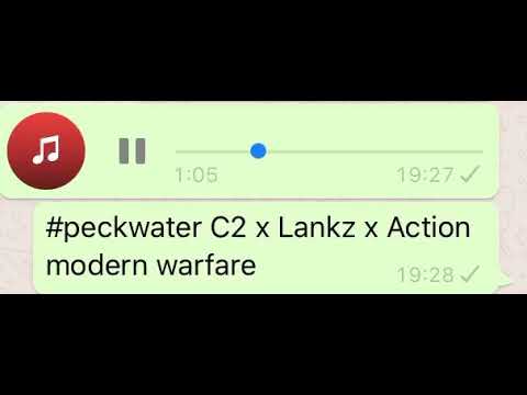 #peckwater C2 x Lankz x Action modern warfare #exclusive #trades