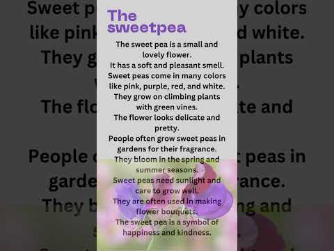 10 lines essay  on flower sweet pea in English/My favorite flower sweet pea/beautiful flower 10 line
