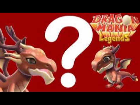 Did we breed the SYLVAN Dragon?! + Great Dragon Race Quests! - Dragon Mania Legends #385