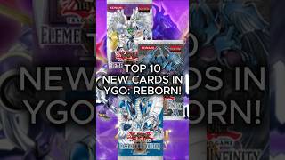 YGO: Reborn! New Update! Top 10 New Cards!