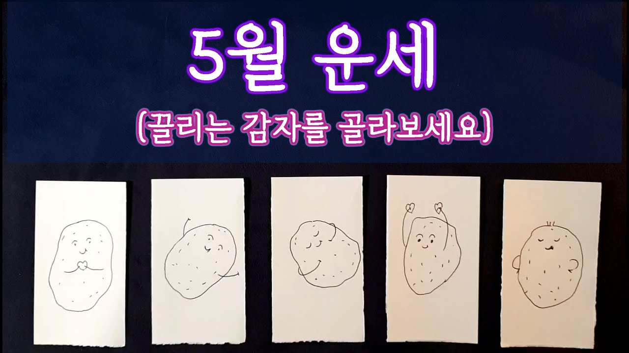 [타로🛀🏼] 5월 운세 (5월에 생길 좋은 일) 🔮