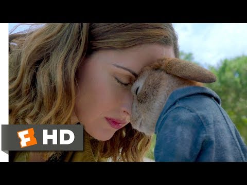 YouTube video about: How do rabbits apologize?