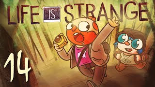 Birds Are Camera Shy | Life is Strange Part 14