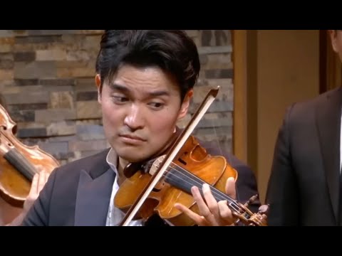Vivaldi: Winter (L'inverno) III. Allegro - Four Seasons - RAY CHEN