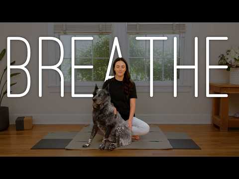 5 Minute Calming Breathwork