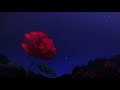 Rihanna You Da One Slowed Reverb