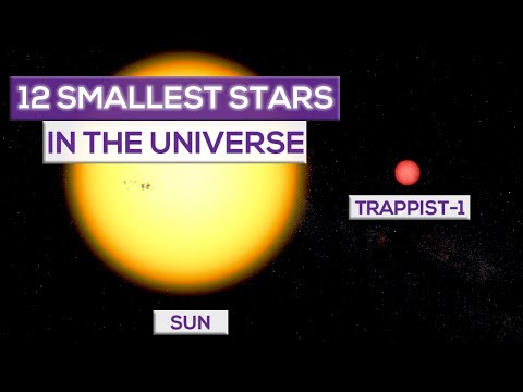 12 Smallest Stars In The Universe