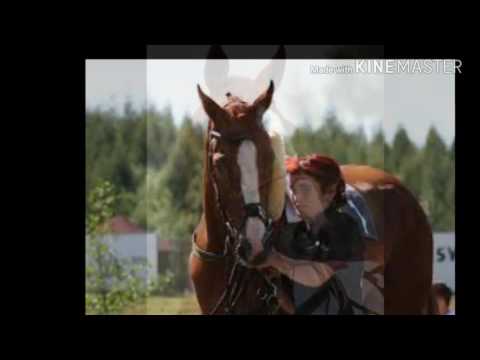 Úžasný ryzák... Rabbit Well (GB)