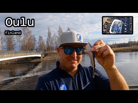 Big salmon river in the city!